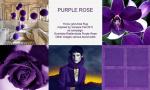 A BRIEF LOOK AT COLOR