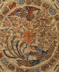 Birds Circling Birds Circling