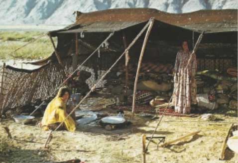 South Persian tribalweaving article