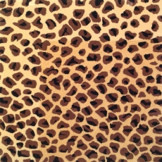 Animal Print Rug