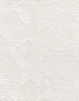 product-N12775
