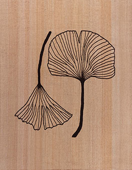 product-N12982