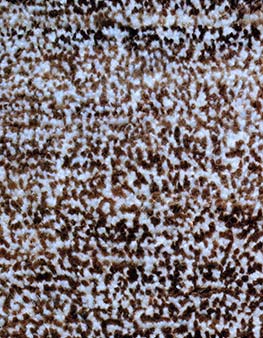 product-S03598
