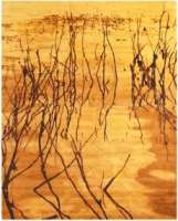 Water Dance-Gold Rug