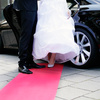 Adobestock 43068489