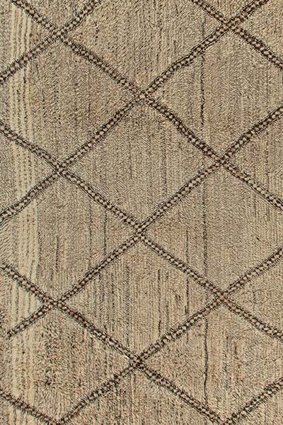 Moroccan rug 16x12 n11243