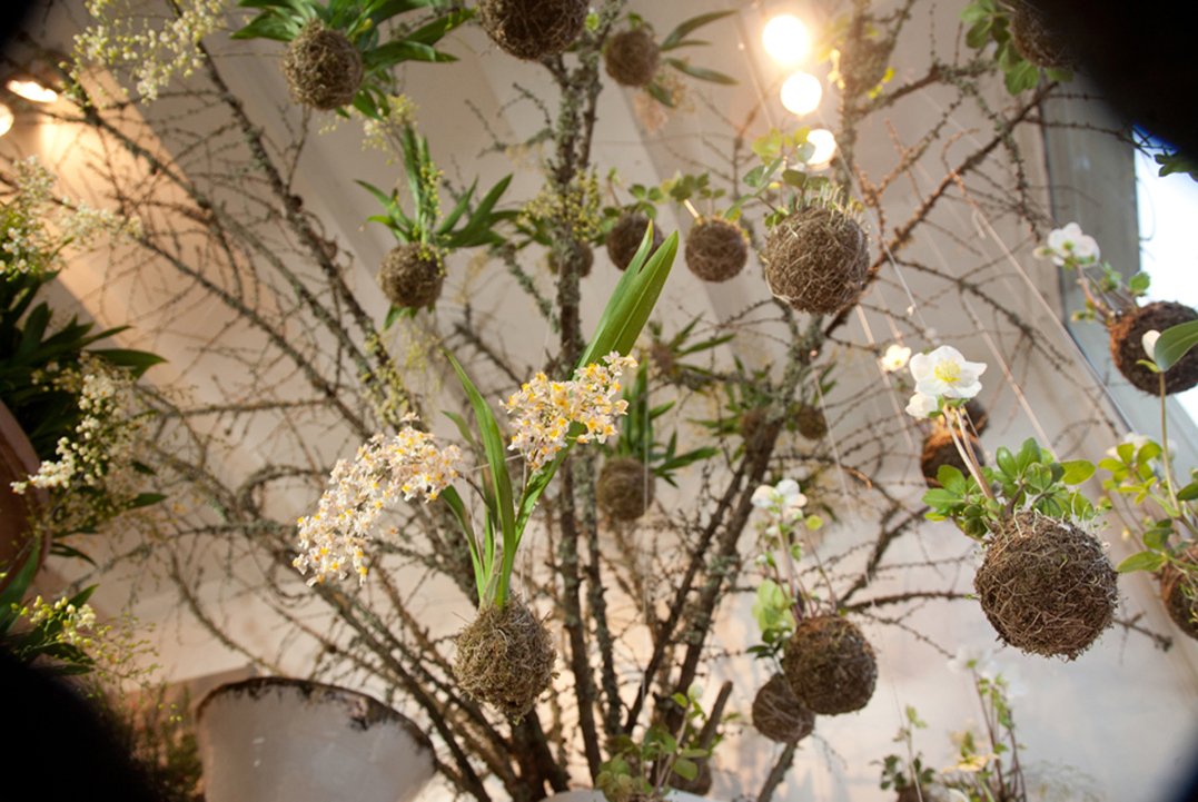 string garden 1