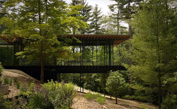 wooden-house-design-with-glass-architecture