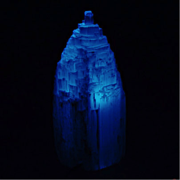 winter_design