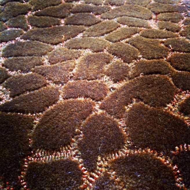 IMG_1121