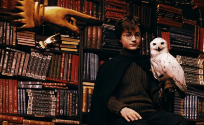 harry poter