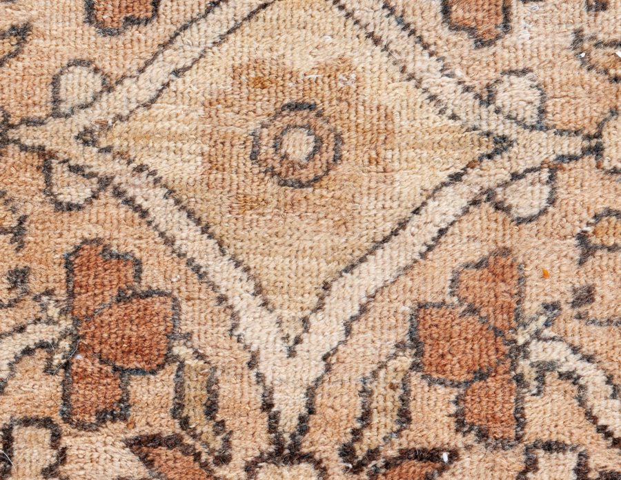 Antique Beige, Brown, Botanic, Persian Kirman Hand-Knotted Wool Rug BB7217