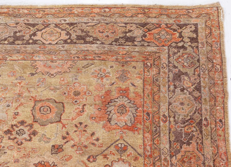19th Century Persian Sultanabad Botanic Handmade Wool Rug BB8447
