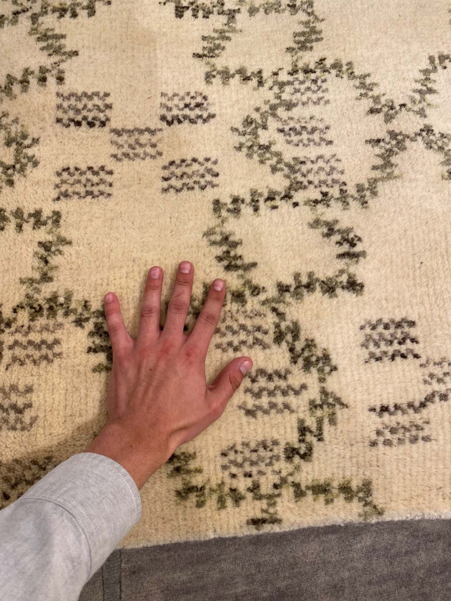 Doris Leslie Blau Collection Modern Paleo Rug in Ivory, Green, and Grey N10476