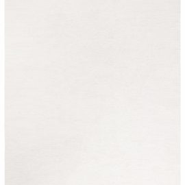 Flatweave Modern Solid Soft White Wool Rug With Whisper-Quiet Texture, Handmade Luxury “Pristine” N12768