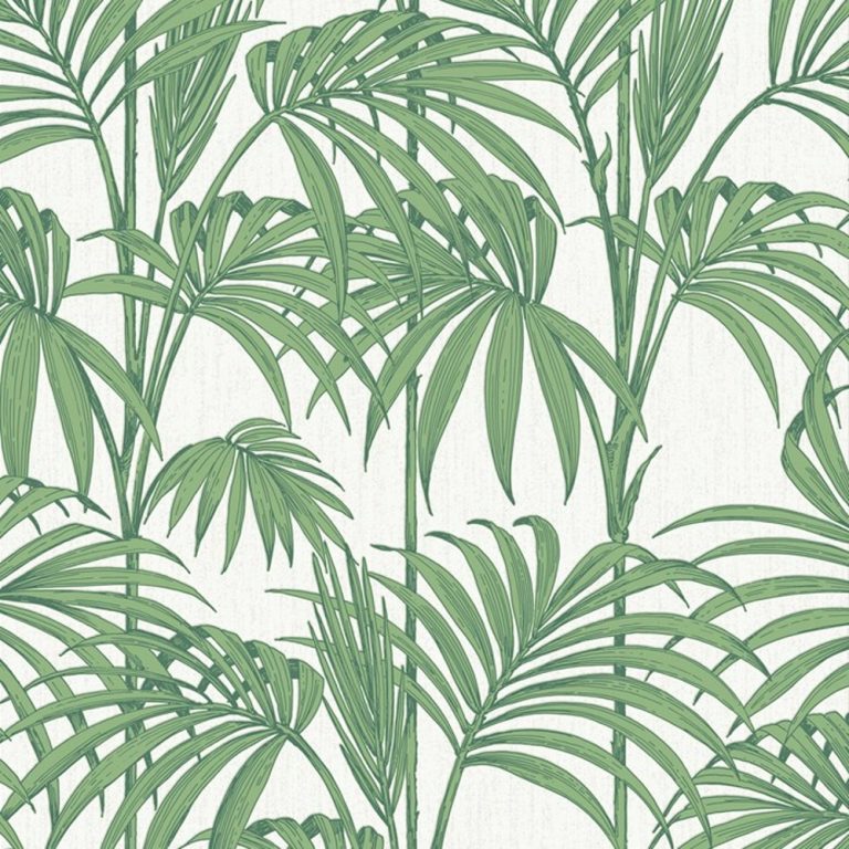Welcome to the jungle