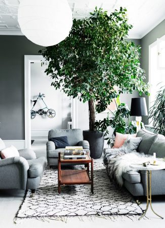 Vintage Rugs : tips on decorating your interior Vintage Rugs : tips on decorating your interior