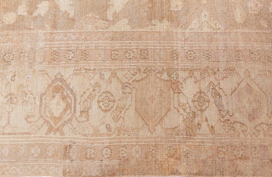 Large Indian Amritsar Botanic Brown Handmade Wool Carpet BB6364