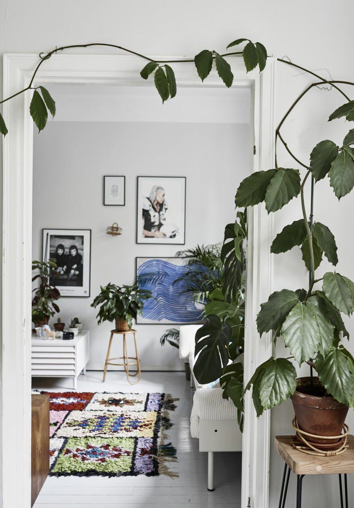 Interior Trend Alert: Boucherouite Rugs Interior Trend Alert: Boucherouite Rugs