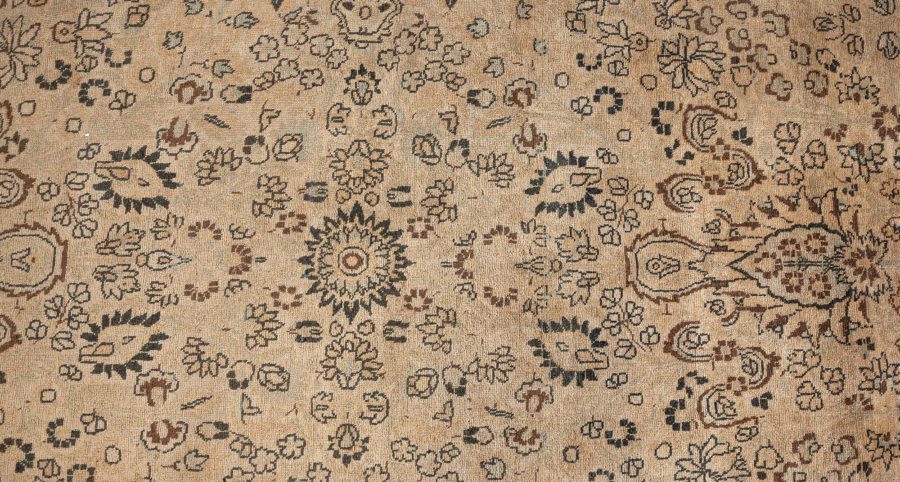 Authentic Persian Tabriz Botanic Hand Knotted Wool Rug BB6473