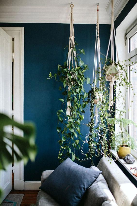 sherwin-williams-color-of-2018-oceanside-blue-interior-decor-blue-wall-paint.
