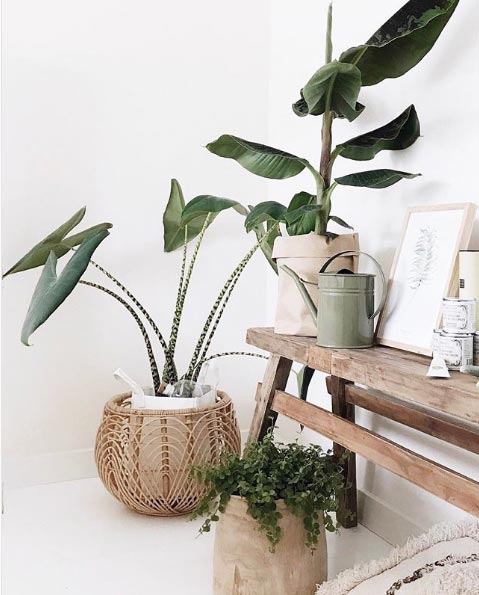 /interior-decor-trends-2018-rattan-plants-baskets-rattan-decor-