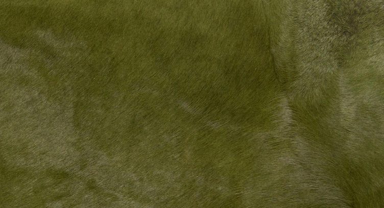 modern rug in sage color