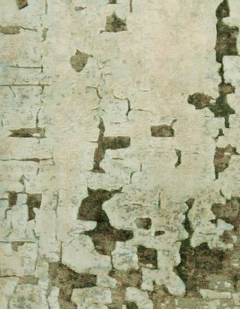 Antique Rugs & Carpets for Sale by DLB in NYC