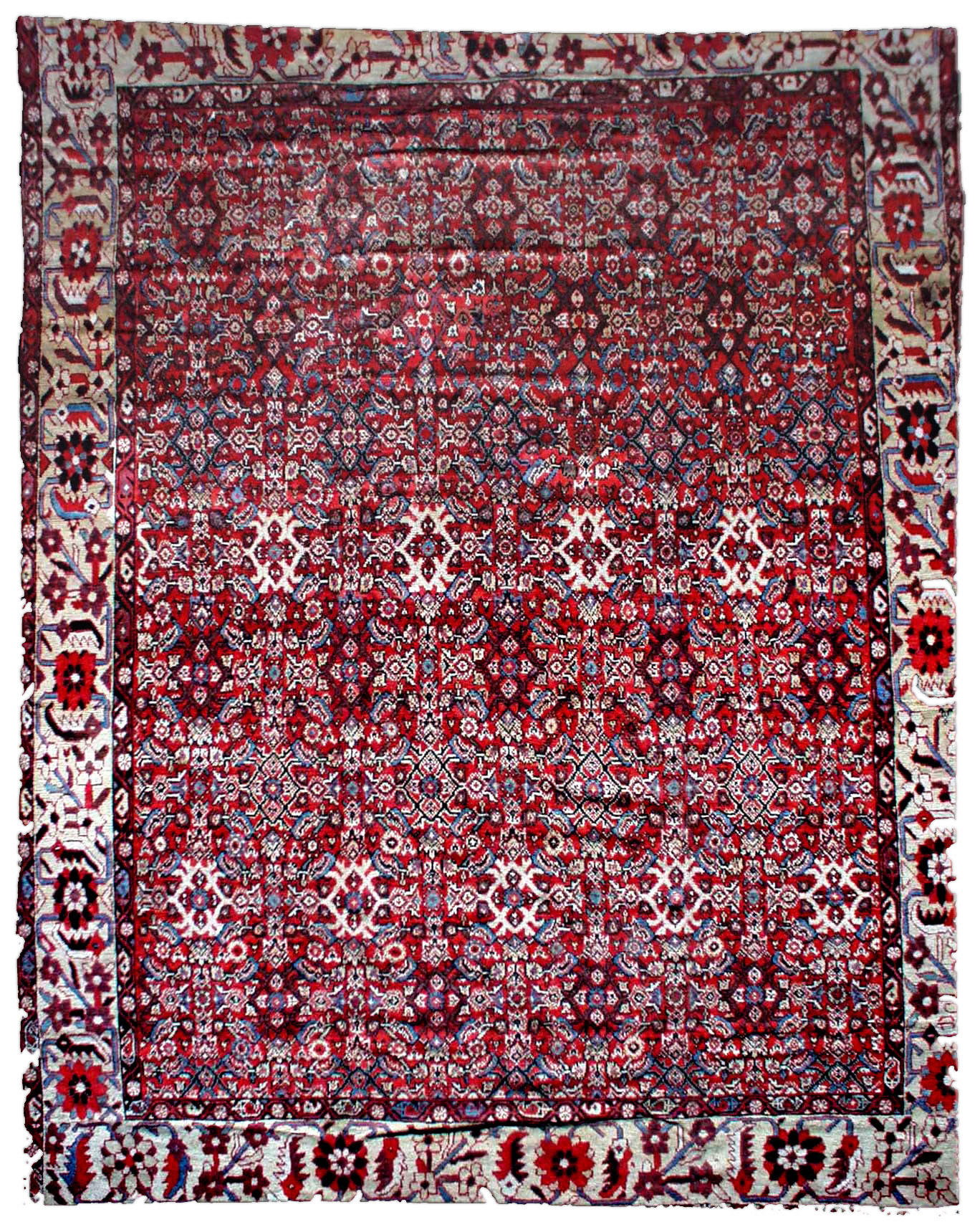 Persian Sultanabad Carpet BB1134