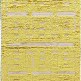 Contemporary High Low Rug N11274