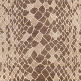 Skin DLB R21 N10076S