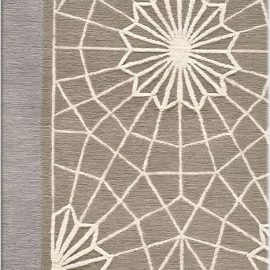 Spider Web55 S03372