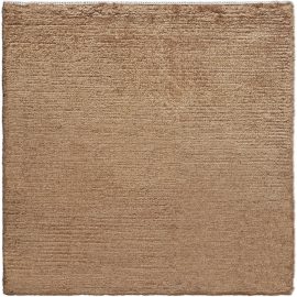 25432 Soy Silk S03729