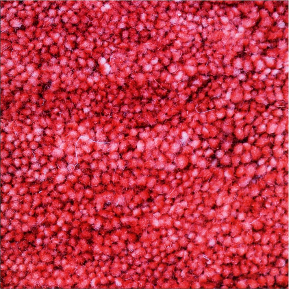 D2475 S03599