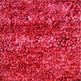 D2475 S03599