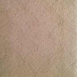 Tufted Shells N10441S