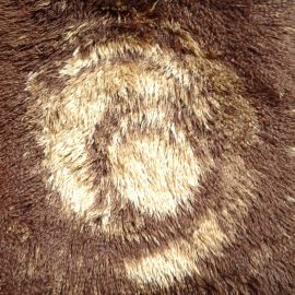 Circle Shaggy N10483S