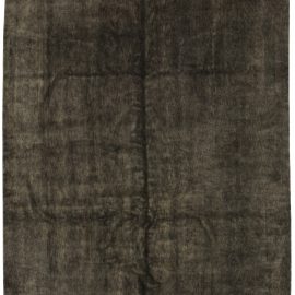 Brassica Gray N10613