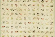 Vintage <mark class='searchwp-highlight'>Hooked</mark> Rug BB2038