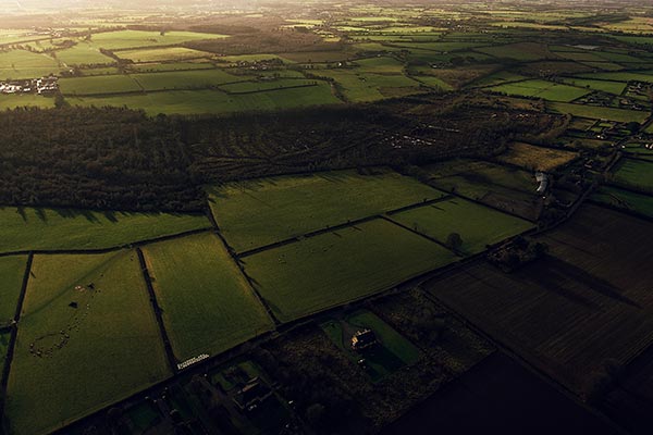 Antique Rugs in Ireland