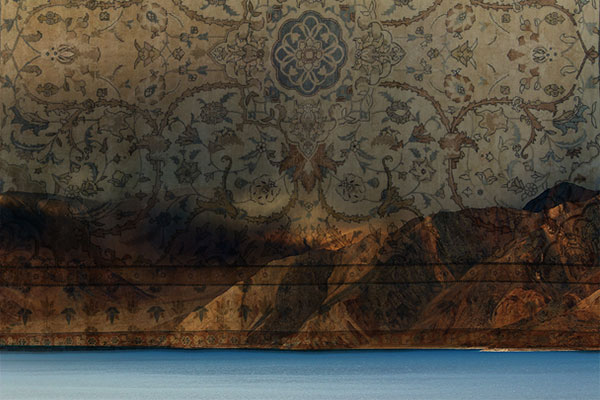 Enhance the Look of Your Home by Buying Cypress Rugs
