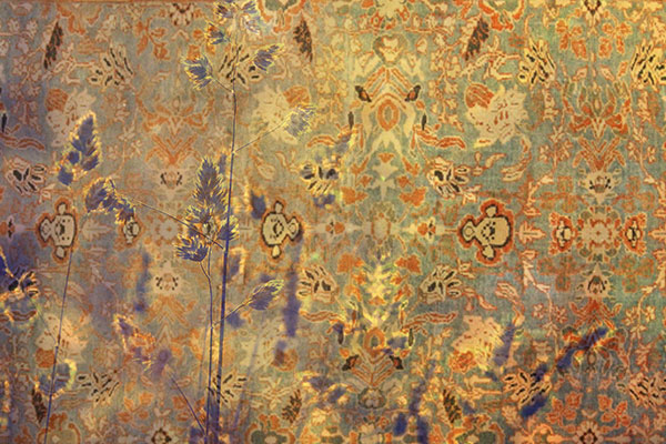 Sultanabad Rugs and their wide popularity