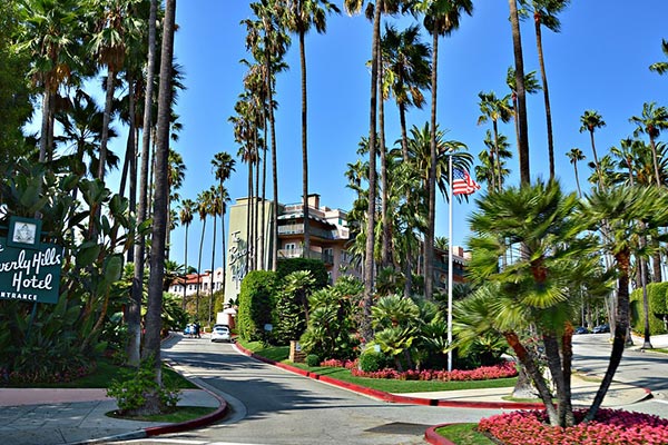Choose from Modern and Persian Rugs in Beverly Hills