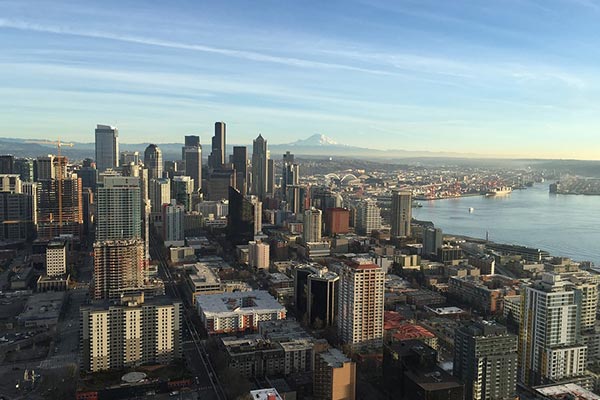 Shop for Modern and Persian Rugs in Seattle