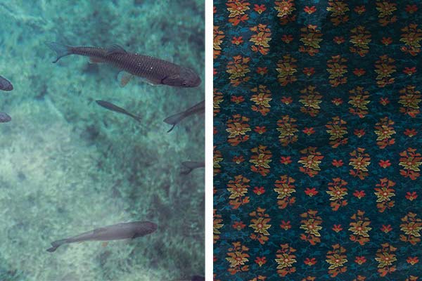 The Principles of Antique Rug Collecting