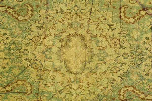 Antique Formal Rugs