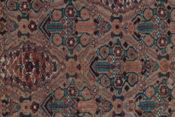 Persian Runners
