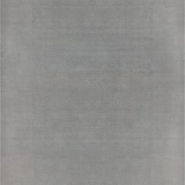 OVER SIZED TRADITIONAL ORIENTAL INSPIRED RUG N11864