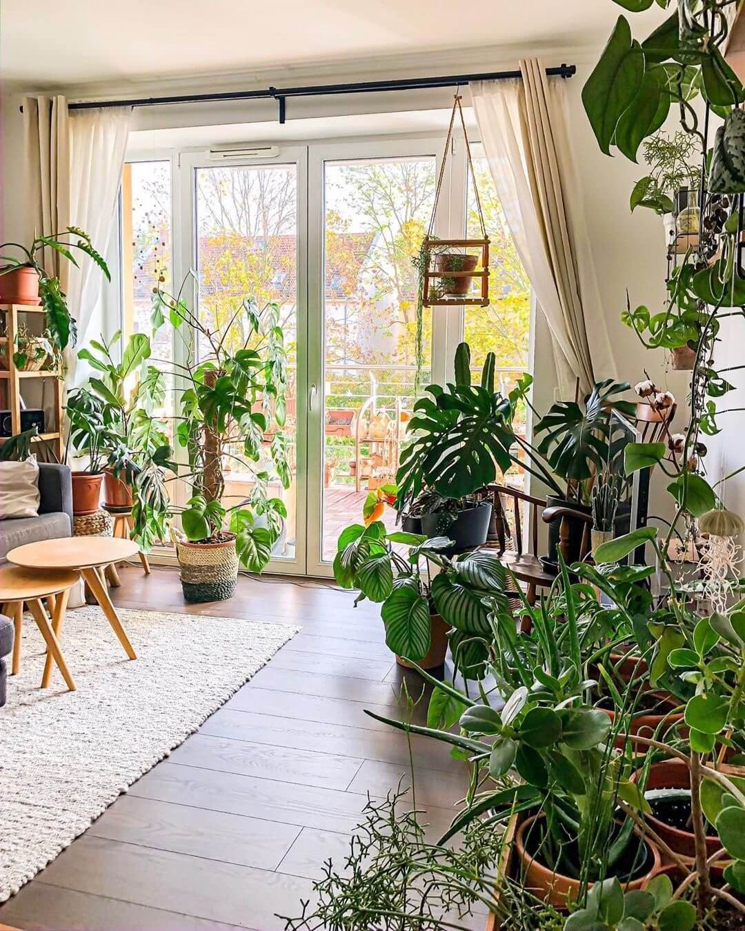 rug in living room (16)