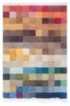 Modern Multi Color Pile Rug N12605